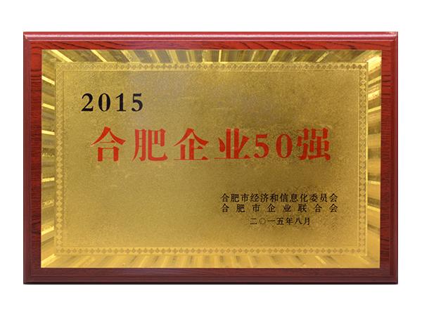 郃(he)肥齊(qi)業50強